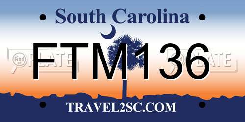 FTM136 South Carolina License Plate