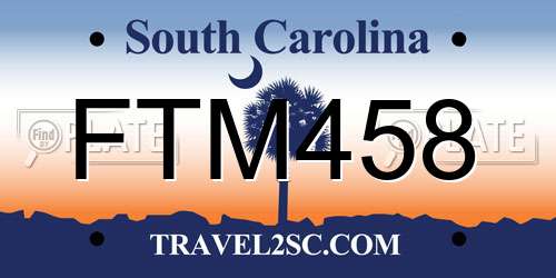 FTM458 South Carolina License Plate