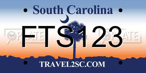 FTS123 South Carolina License Plate