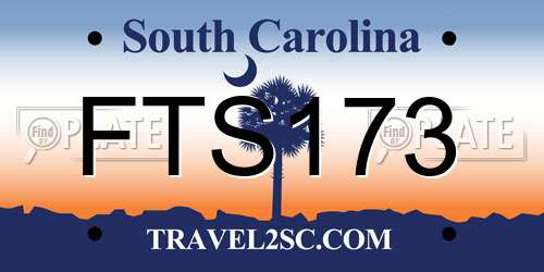 FTS173 South Carolina License Plate