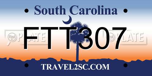 FTT307 South Carolina License Plate