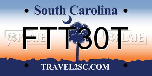 FTT30T South Carolina License Plate