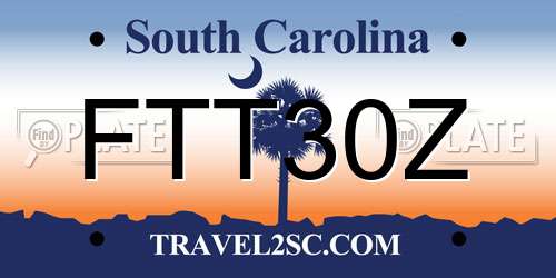 FTT30Z South Carolina License Plate