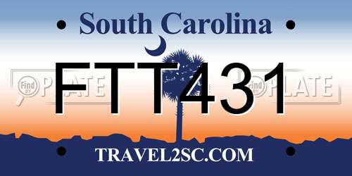 FTT431 South Carolina License Plate
