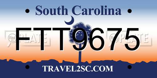 FTT9675 South Carolina License Plate