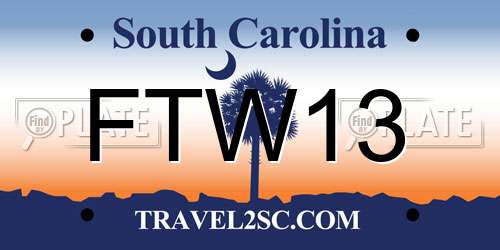 FTW13 South Carolina License Plate
