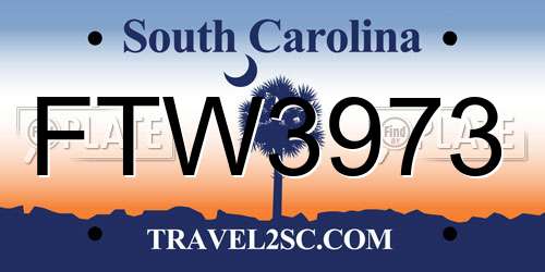 FTW3973 South Carolina License Plate