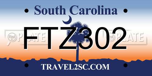 FTZ302 South Carolina License Plate