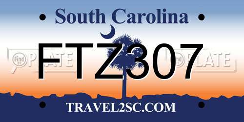 FTZ307 South Carolina License Plate