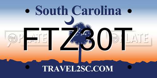 FTZ30T South Carolina License Plate