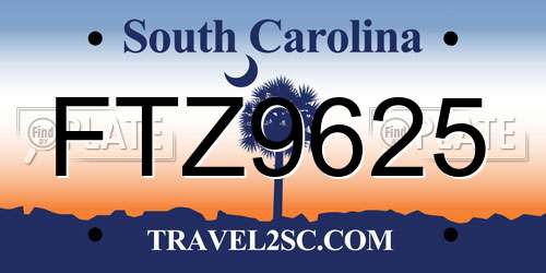 FTZ9625 South Carolina License Plate