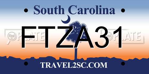 FTZA31 South Carolina License Plate