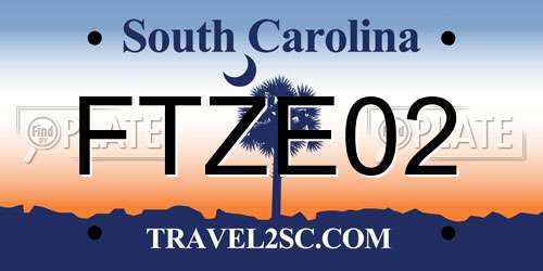 FTZE02 South Carolina License Plate