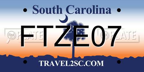 FTZE07 South Carolina License Plate