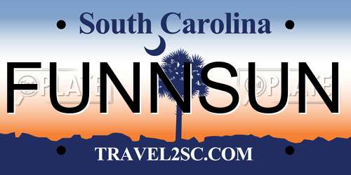 FUNNSUN South Carolina License Plate
