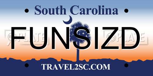 FUNSIZD South Carolina License Plate