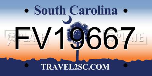FV19667 South Carolina License Plate