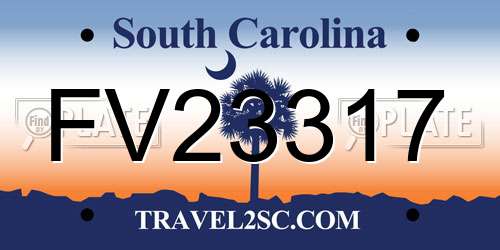 FV23317 South Carolina License Plate