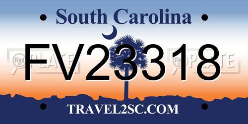 FV23318 South Carolina License Plate