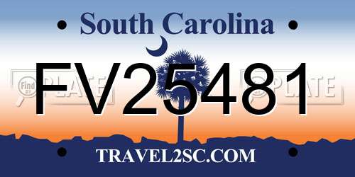 FV25481 South Carolina License Plate