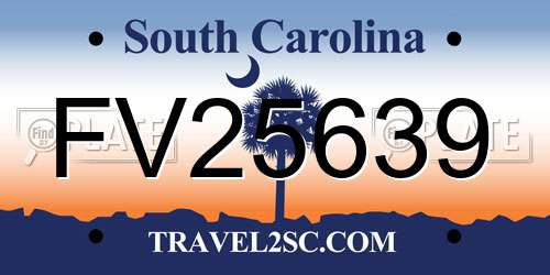 FV25639 South Carolina License Plate