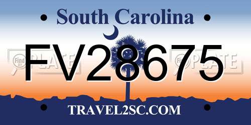 FV28675 South Carolina License Plate