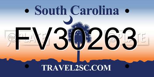 FV30263 South Carolina License Plate
