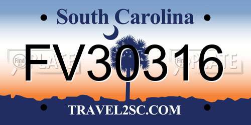 FV30316 South Carolina License Plate