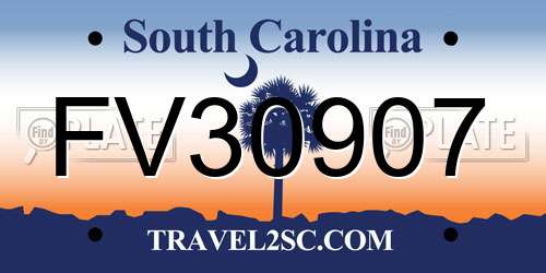 FV30907 South Carolina License Plate