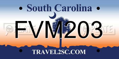 FVM203 South Carolina License Plate