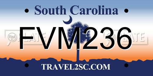 FVM236 South Carolina License Plate
