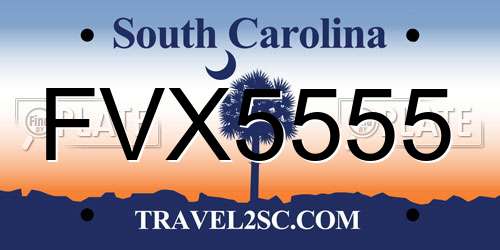 FVX5555 South Carolina License Plate