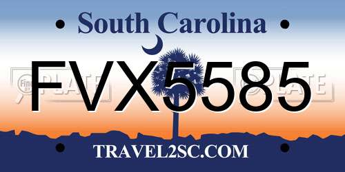 FVX5585 South Carolina License Plate