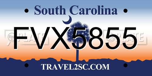 FVX5855 South Carolina License Plate