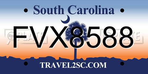 FVX8588 South Carolina License Plate