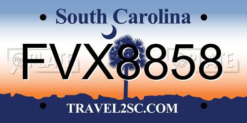 FVX8858 South Carolina License Plate