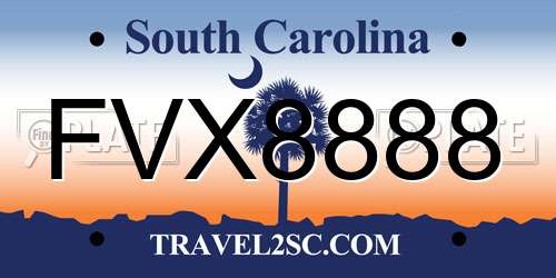 FVX8888 South Carolina License Plate