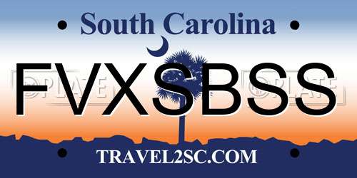 FVXSBSS South Carolina License Plate