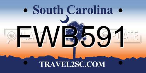 FWB591 South Carolina License Plate