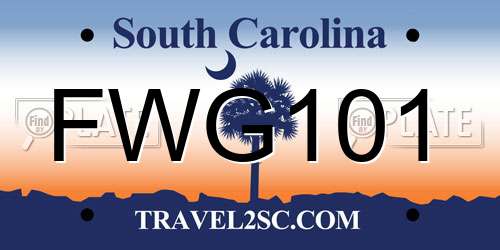 FWG101 South Carolina License Plate