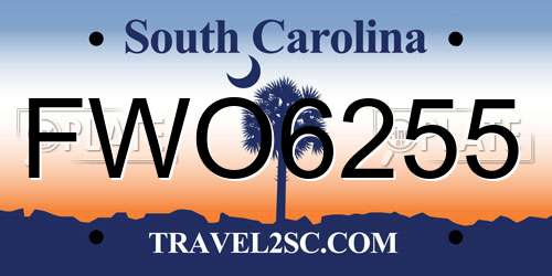 FWO6255 South Carolina License Plate