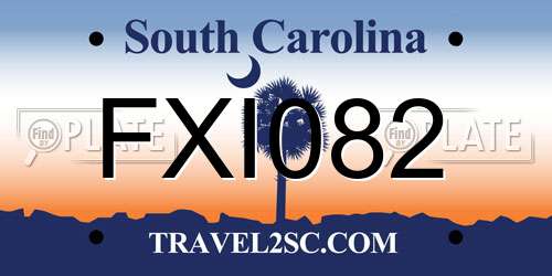 FXI082 South Carolina License Plate