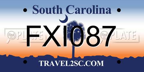 FXI087 South Carolina License Plate