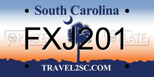 FXJ201 South Carolina License Plate