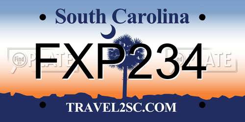 FXP234 South Carolina License Plate
