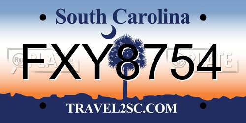 FXY8754 South Carolina License Plate