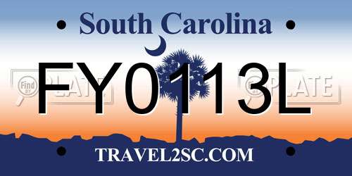 FY0113L South Carolina License Plate