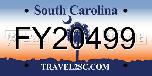 FY20499 South Carolina License Plate