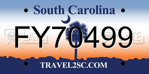 FY70499 South Carolina License Plate
