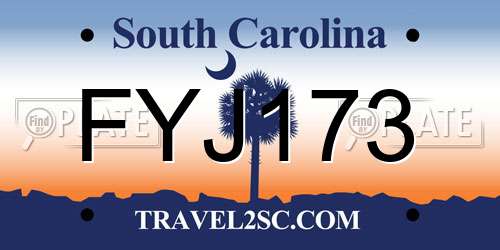 FYJ173 South Carolina License Plate